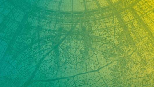 Image de la verrière du Grand Palais
